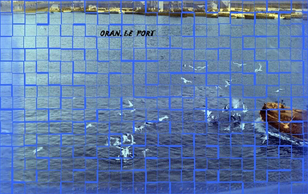 Oran- 029a - Copie.JPG